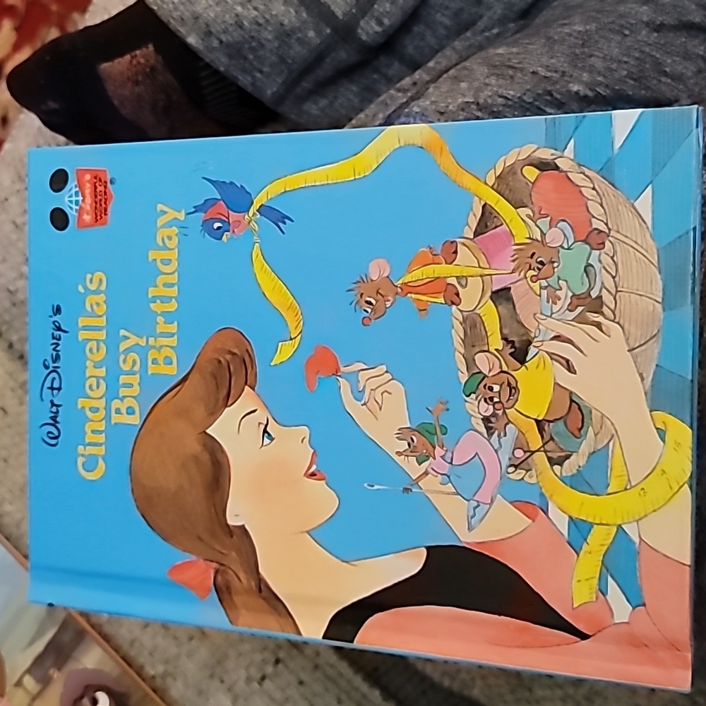Cinderellas Busy Birthday Book